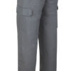 388-PG PANTALON TERGAL GRIS - Imagen 2